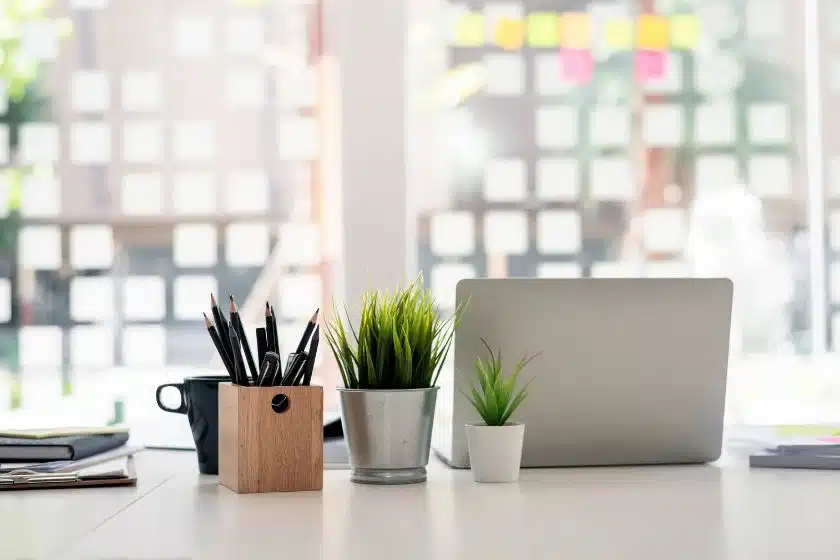 La Experiencia City Office: Cómo se Organiza una Oficina Privada en CDMX